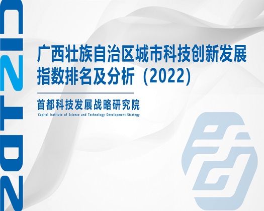 大JB插BBBB视频【成果发布】广西壮族自治区城市科技创新发展指数排名及分析（2022）